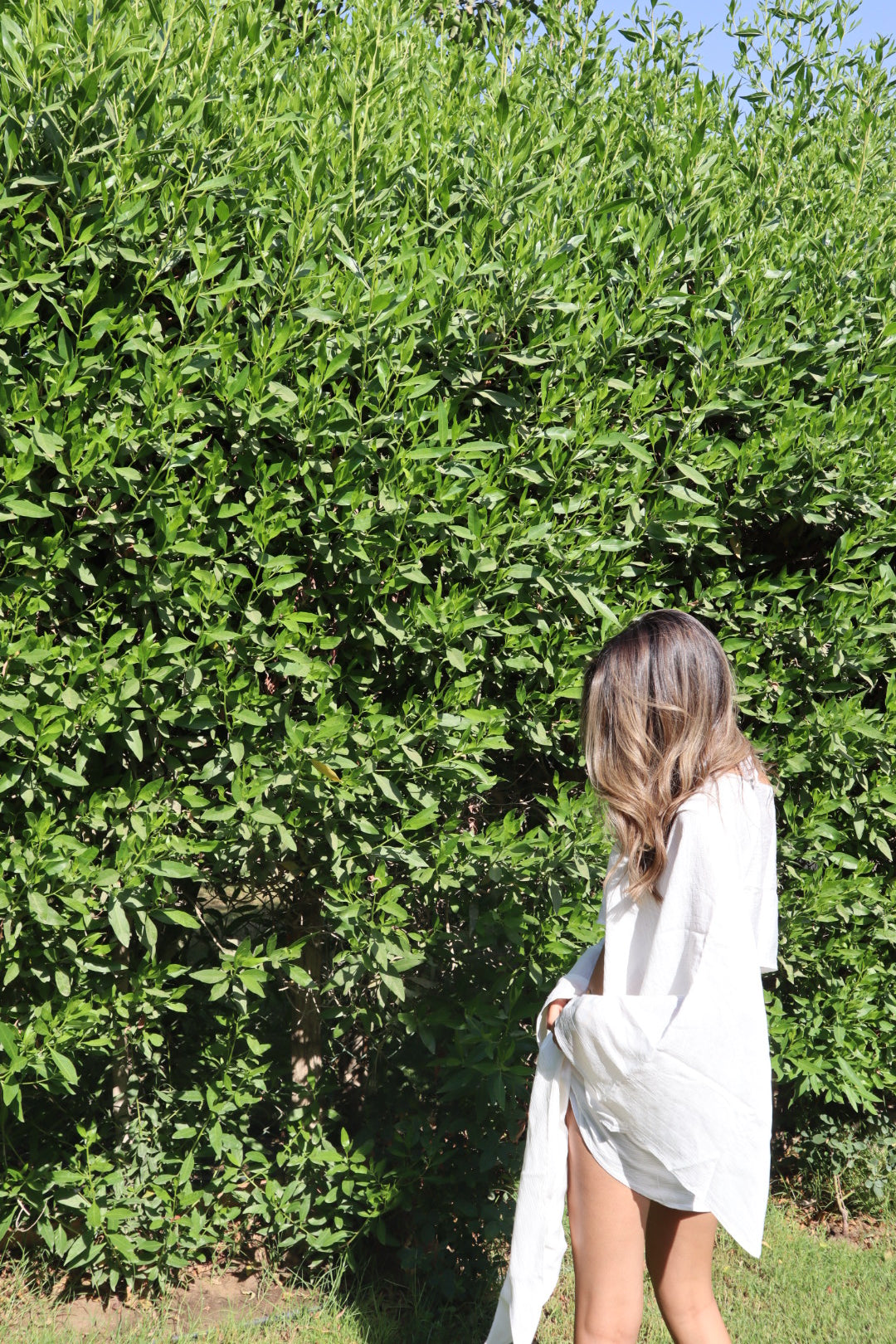 The Soleya Set In White